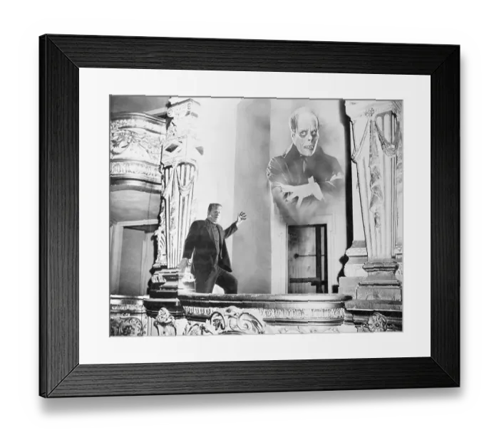 Framed Print : Frankentein and Phantom of the Opera Framed Print : Frankentein and Phantom of the Opera