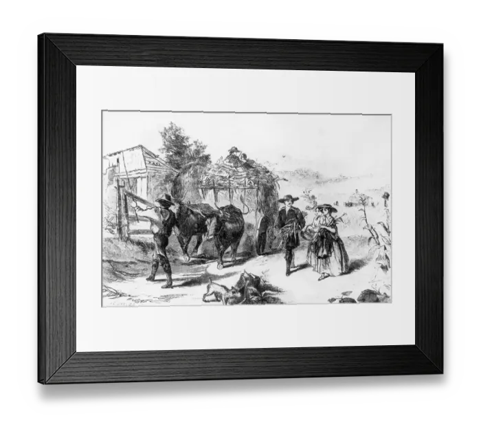 Framed Print : Driving Home the Corn by Winslow Homer Framed Print : Driving Home the Corn by Winslow Homer