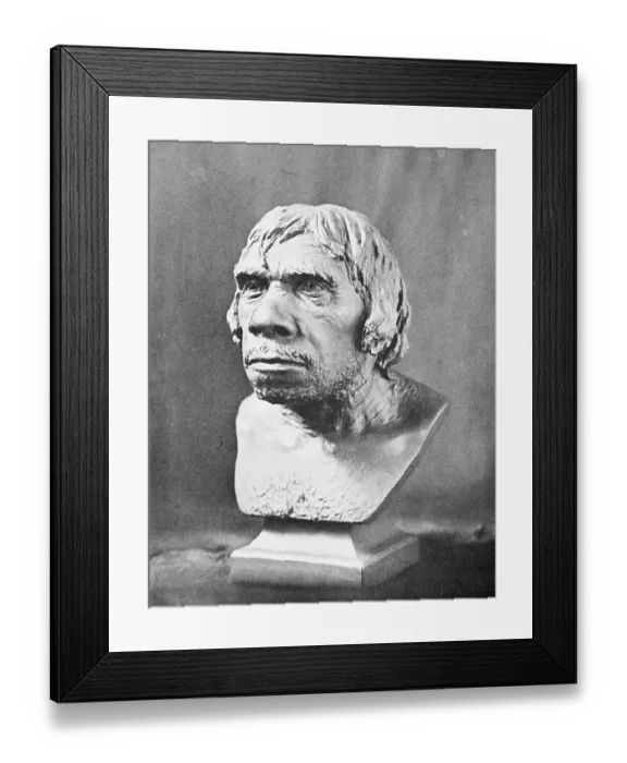 Framed Print : Bust of Prehistoric Man