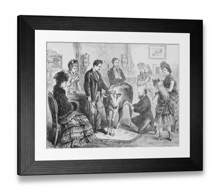 Framed Print : Dr. Chambon Working with Cow Framed Print : Dr. Chambon Working with Cow