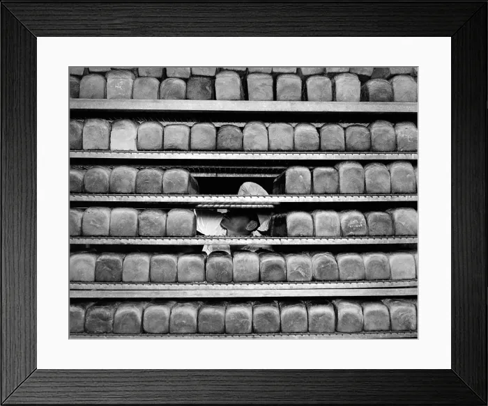Framed Print : Bakery Worker Placing Bread On Racks Framed Print : Bakery Worker Placing Bread On Racks