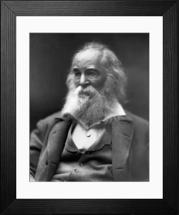 Framed Print : Portrait Of Walt Whitman / Old Age Framed Print : Portrait Of Walt Whitman / Old Age