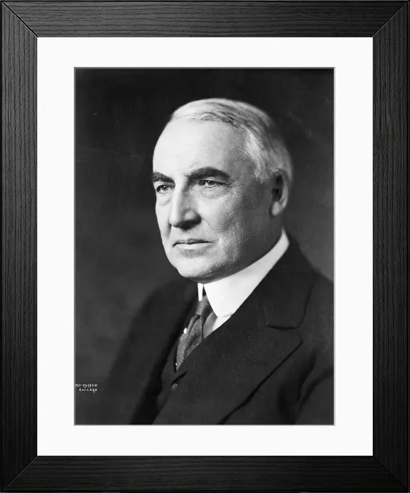 Framed Print : Warren Harding / 29Th Us President Framed Print : Warren Harding / 29Th Us President