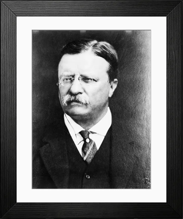 Framed Print : Theodore Roosevelt Framed Print : Theodore Roosevelt