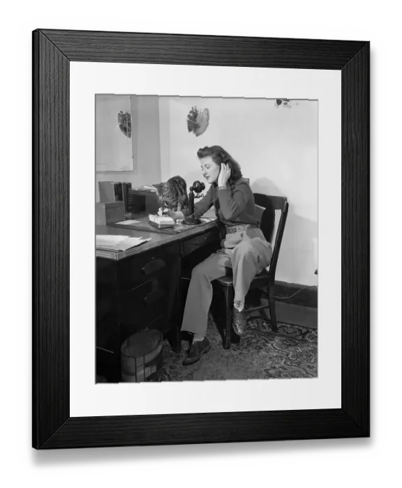 Framed Print : Woman talking on phone while cat is sitting on desk Framed Print : Woman talking on phone while cat is sitting on desk