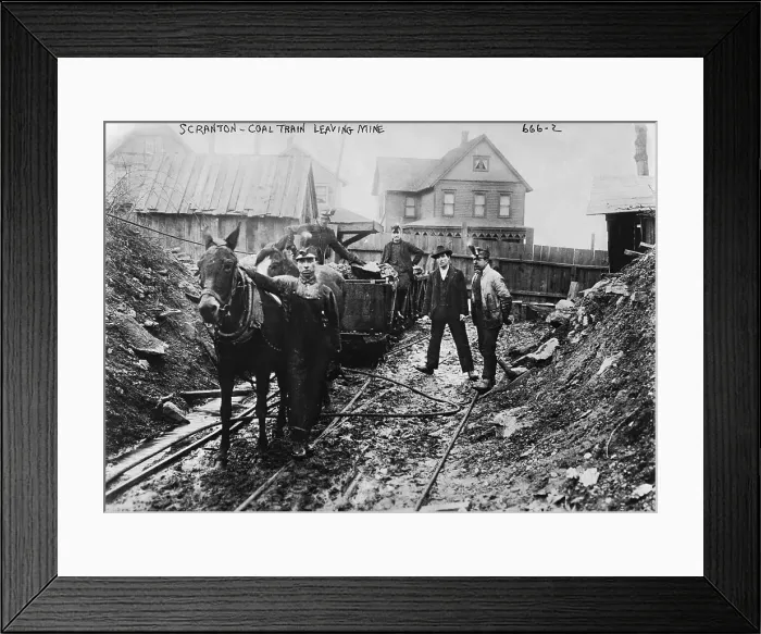 Framed Print : Coal Train Leaving Coal Mine; Donkeys Framed Print : Coal Train Leaving Coal Mine; Donkeys