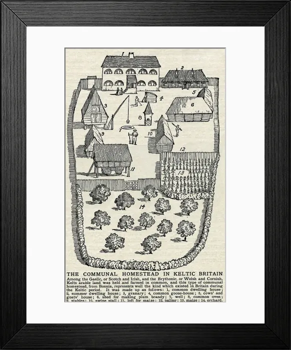Framed Print : Diagram of Communal Homestead Framed Print : Diagram of Communal Homestead