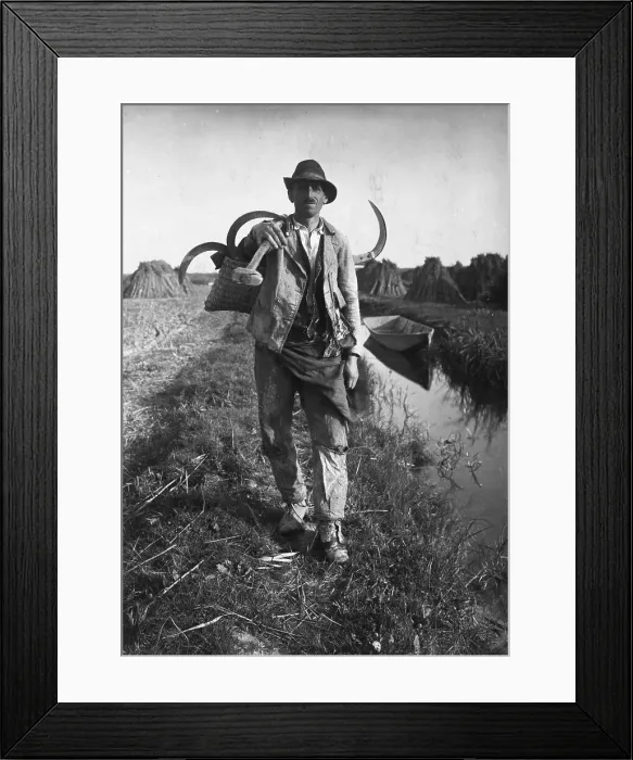 Framed Print : Portrait of Dr. Tadeus Reichstein Framed Print : Portrait of Dr. Tadeus Reichstein