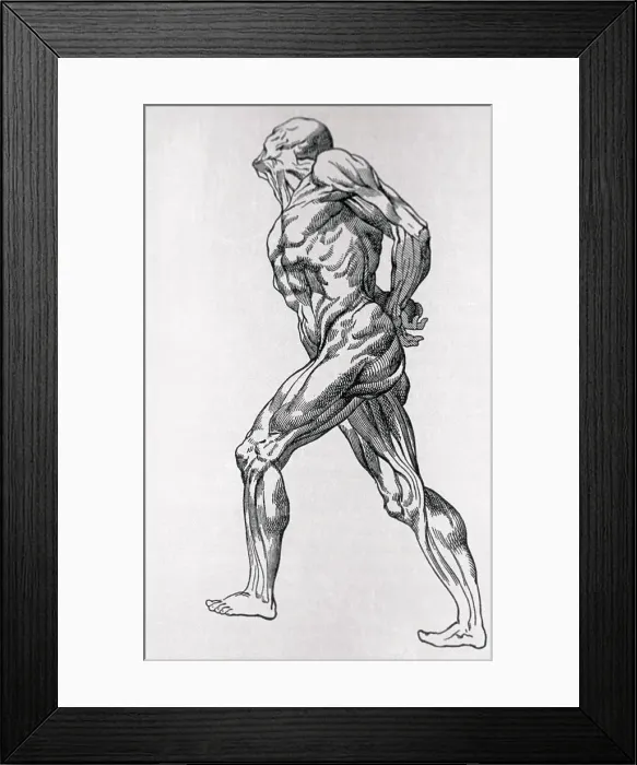 Framed Print : Portrait of the Human Body Framed Print : Portrait of the Human Body