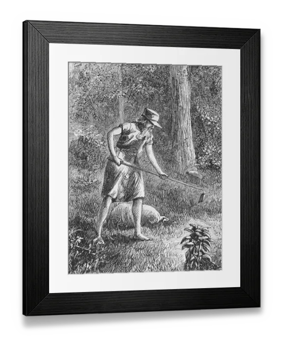 Framed Print : Johnny Appleseed Planting Apple Seeds in Wilderness Framed Print : Johnny Appleseed Planting Apple Seeds in Wilderness