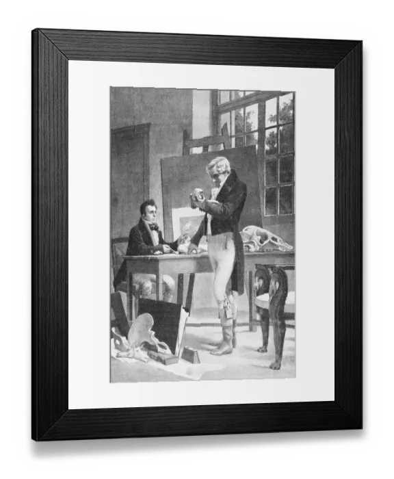 Framed Print : Print of Georges Cuvier Examining Animal Fossils Framed Print : Print of Georges Cuvier Examining Animal Fossils