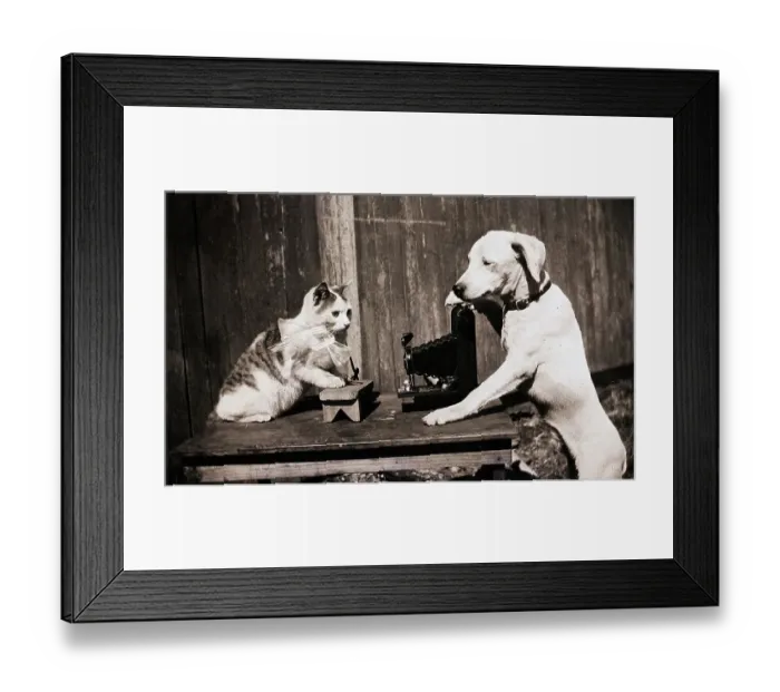 Framed Print : Dog And Cat With Camera Framed Print : Dog And Cat With Camera
