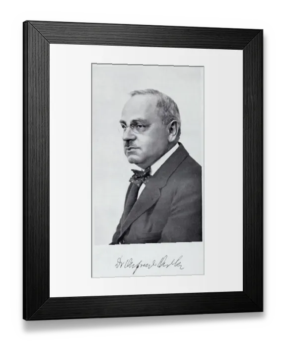 Framed Print : Alfred Adler (1870-1937) Framed Print : Alfred Adler (1870-1937)