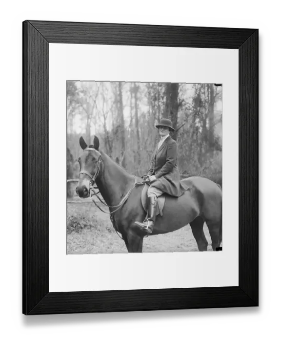 Framed Print : Chicago Socialite Maryland McCormick Horse Riding Framed Print : Chicago Socialite Maryland McCormick Horse Riding