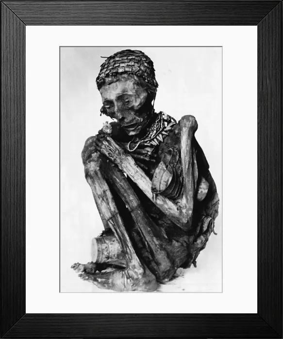 Framed Print : Incan Mummy Framed Print : Incan Mummy