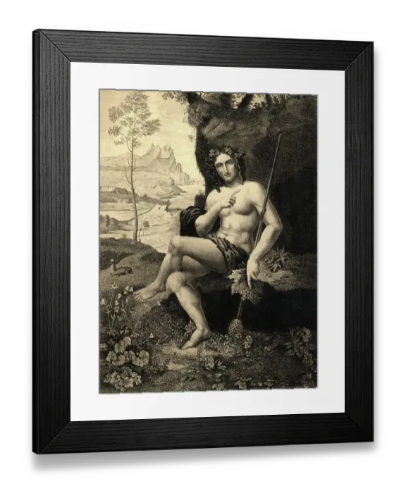 Framed Print : Illustrated Portrait of Bacchus Framed Print : Illustrated Portrait of Bacchus