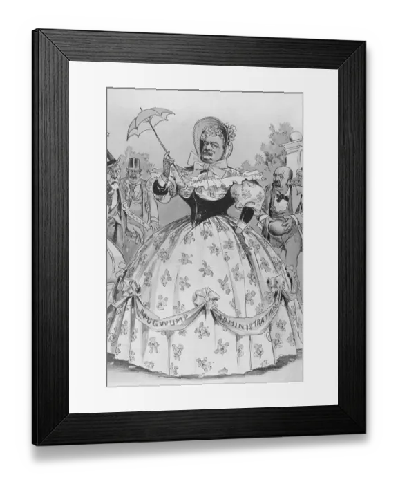 Framed Print : Polit Cartoon / G Cleveland In Hoop Skirt