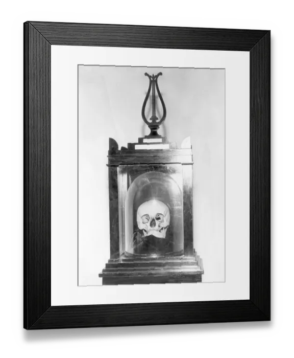 Framed Print : Skull of Composer Franz Josef Hadyn Framed Print : Skull of Composer Franz Josef Hadyn