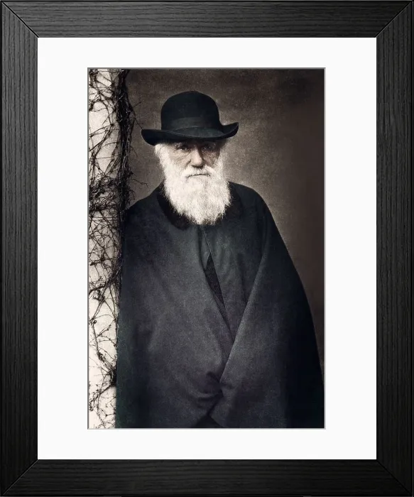 Framed Print : Charles Darwin