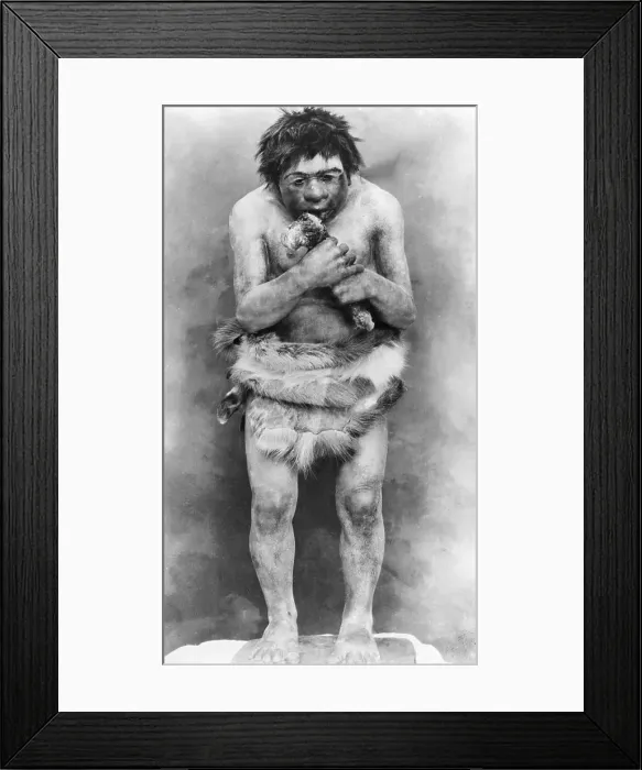 Framed Print : Neanderthal Man Chewing Bone Framed Print : Neanderthal Man Chewing Bone