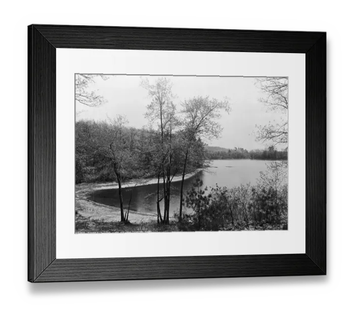 Framed Print : Walden Pond from Henry David Thoreau's Hut Framed Print : Walden Pond from Henry David Thoreau's Hut
