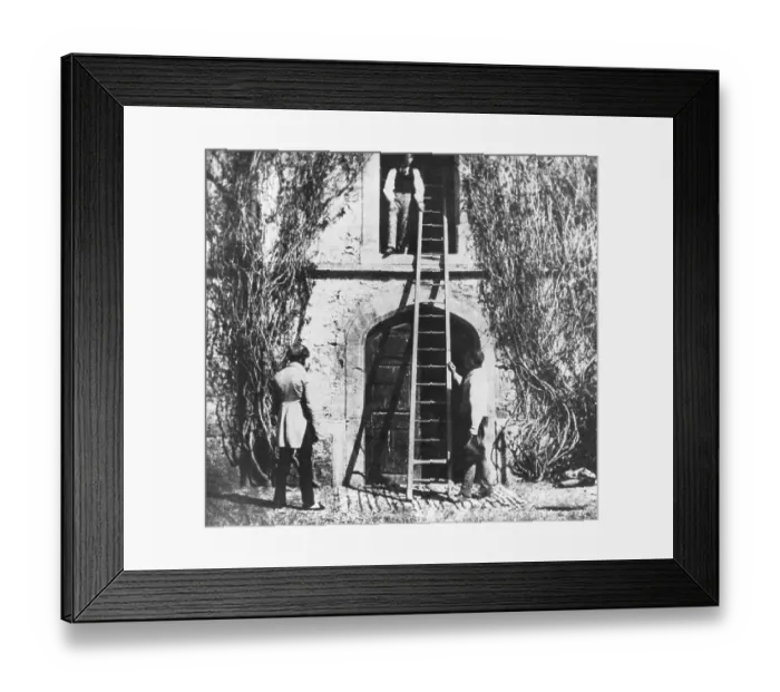 Framed Print : The Ladder Framed Print : The Ladder