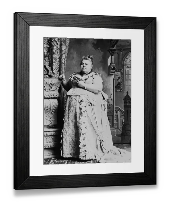 Framed Print : Overweight Woman in Evening Gown Framed Print : Overweight Woman in Evening Gown