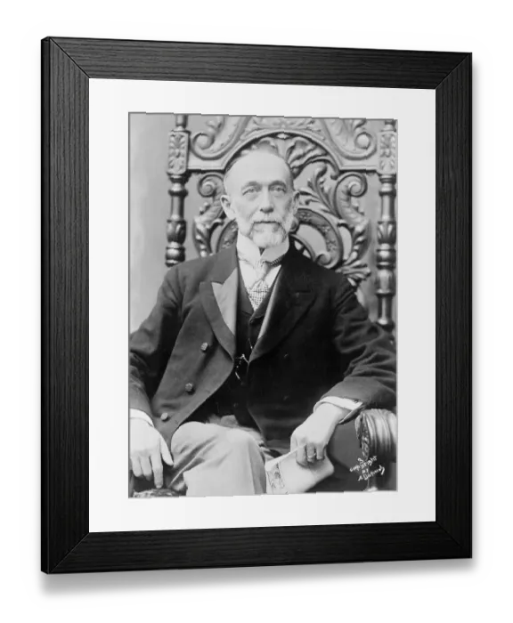 Framed Print : American Senator Thomas C. Platt Framed Print : American Senator Thomas C. Platt