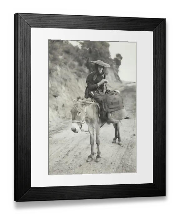 Framed Print : Woman Sitting on Donkey Framed Print : Woman Sitting on Donkey