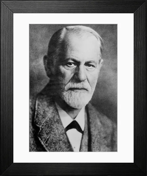 Framed Print : Sigmund Freud Framed Print : Sigmund Freud