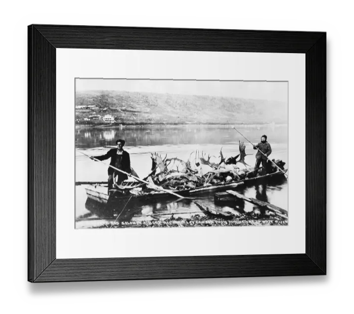 Framed Print : Fur Traders Poling Barge Full of Moose Antlers Framed Print : Fur Traders Poling Barge Full of Moose Antlers