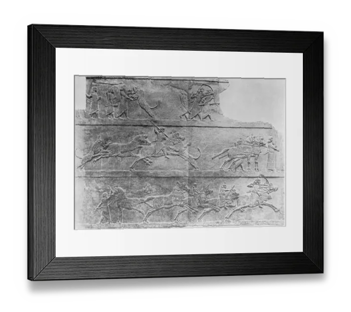 Framed Print : King Ashurbanopal Hunting Lions Framed Print : King Ashurbanopal Hunting Lions