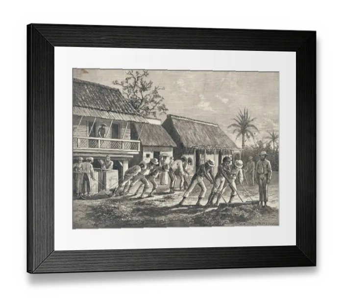 Framed Print : Farmers Spreading Coffee Beans Framed Print : Farmers Spreading Coffee Beans