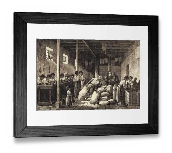 Framed Print : Workers Packing Coffee Framed Print : Workers Packing Coffee