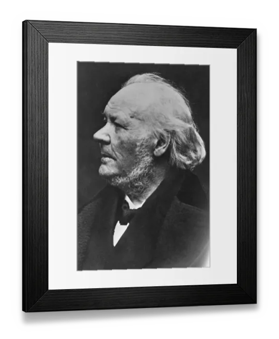 Framed Print : Portrait of Honore Daumier Framed Print : Portrait of Honore Daumier