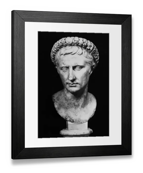 Framed Print : Bust of Augustus Framed Print : Bust of Augustus