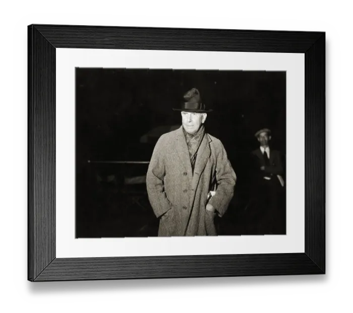 Framed Print : Novelist And Naturalist Theodore Dreiser Framed Print : Novelist And Naturalist Theodore Dreiser