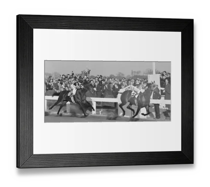 Framed Print : Seabiscuit Beats War Admiral at Pimlico Framed Print : Seabiscuit Beats War Admiral at Pimlico