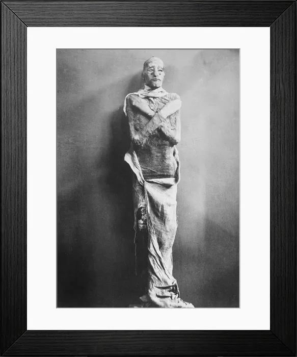 Framed Print : King Ramses III Mummy Framed Print : King Ramses III Mummy