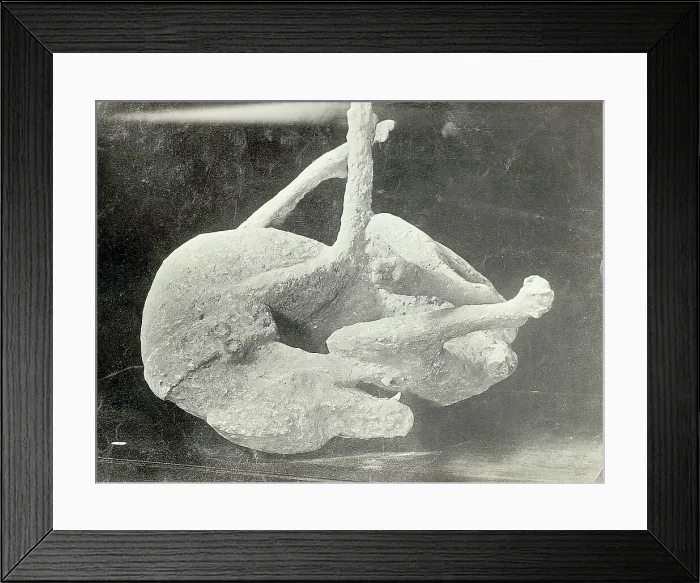 Framed Print : Petrified Dog Found In Excavation / Pompei Framed Print : Petrified Dog Found In Excavation / Pompei
