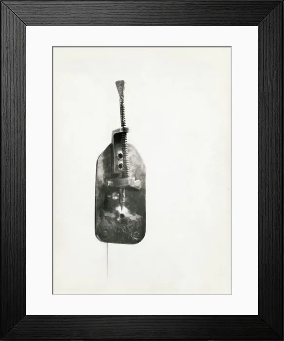 Framed Print : Leeuwenhoek's Microscope Framed Print : Leeuwenhoek's Microscope