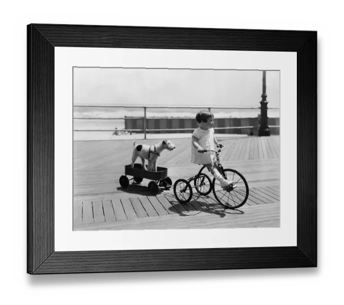 Framed Print : Girl cycling (4-5) with dog on trailer Framed Print : Girl cycling (4-5) with dog on trailer