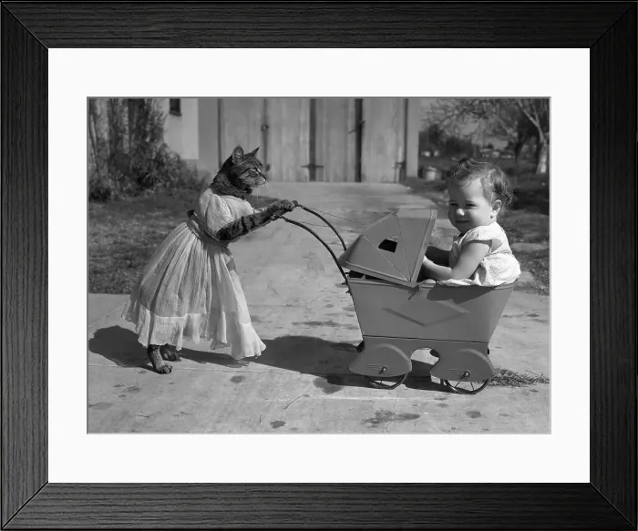 Framed Print : Nanny Cat. Baby girl in toy pram with cat in costume Framed Print : Nanny Cat. Baby girl in toy pram with cat in costume