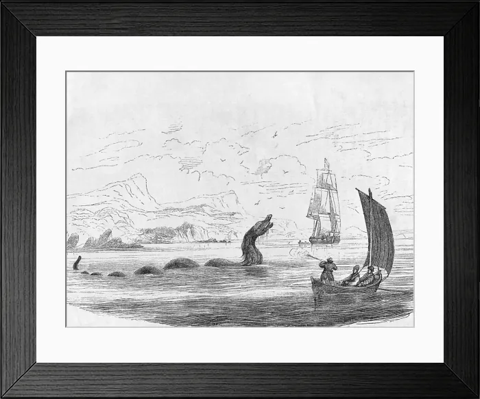Framed Print : Sea Monster Framed Print : Sea Monster