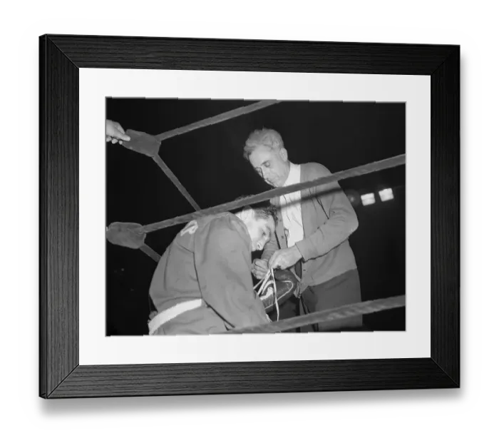 Framed Print : Willie Pep Has Gloves Laced In Ring Corn Framed Print : Willie Pep Has Gloves Laced In Ring Corn