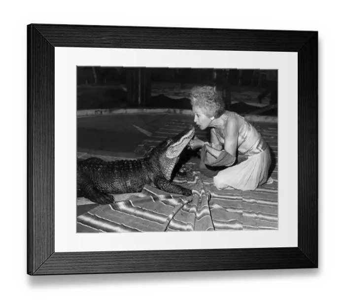 Framed Print : Woman From Circus Talking to Alligator Framed Print : Woman From Circus Talking to Alligator
