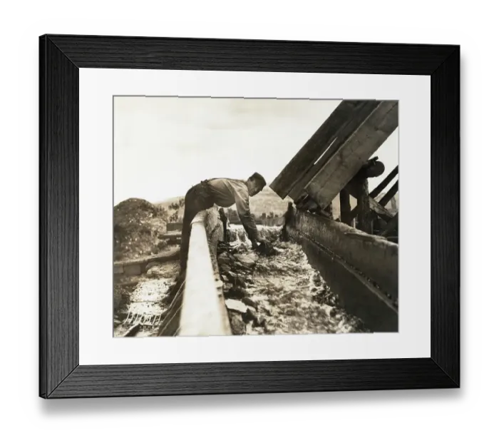Framed Print : Man Using Trough To Wash Gold From Earth Framed Print : Man Using Trough To Wash Gold From Earth