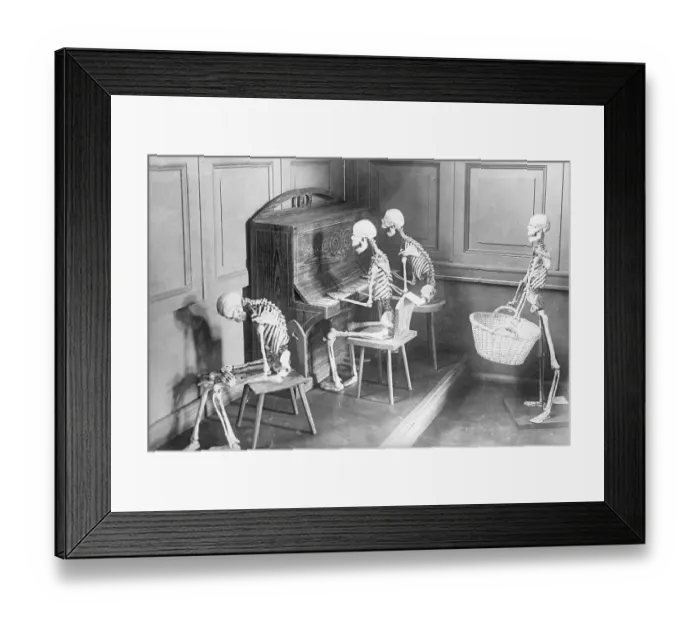 Framed Print : Skeletons Shown Playing Piano, Etc Framed Print : Skeletons Shown Playing Piano, Etc