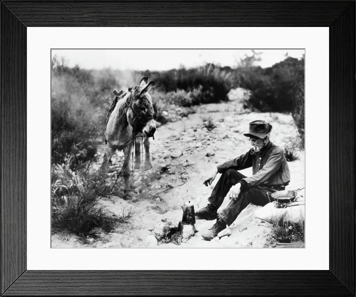 Framed Print : Elderly Gold Prospector With Burro Framed Print : Elderly Gold Prospector With Burro