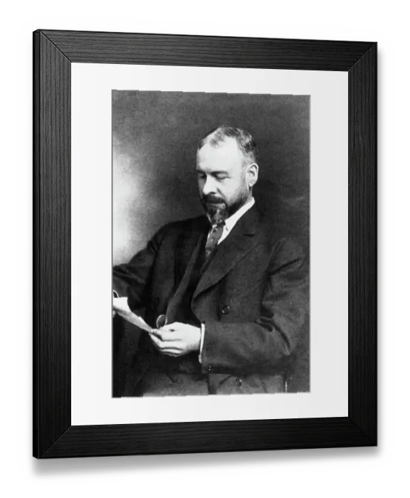 Framed Print : Louis Henry Sullivan Framed Print : Louis Henry Sullivan